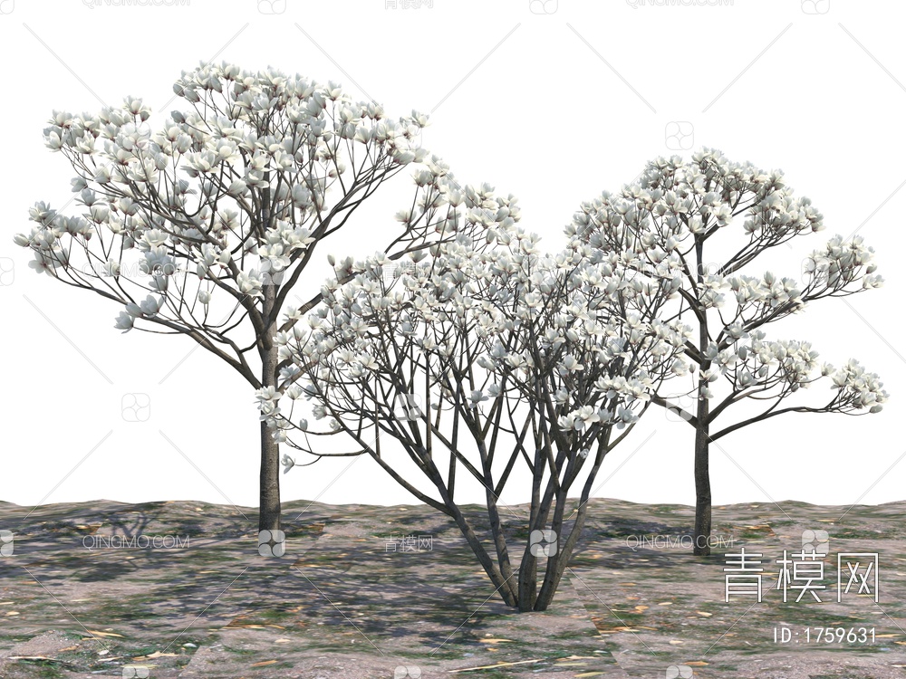 景观树3D模型下载【ID:1759631】