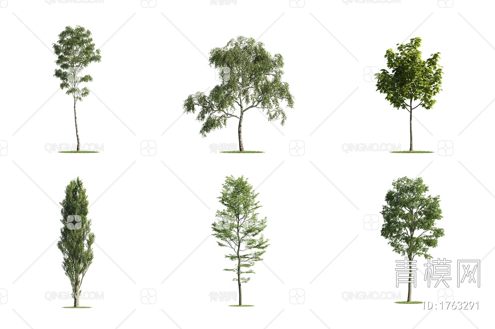 景观树木，户外树木，庭院树木，大路行道树3D模型下载【ID:1763291】