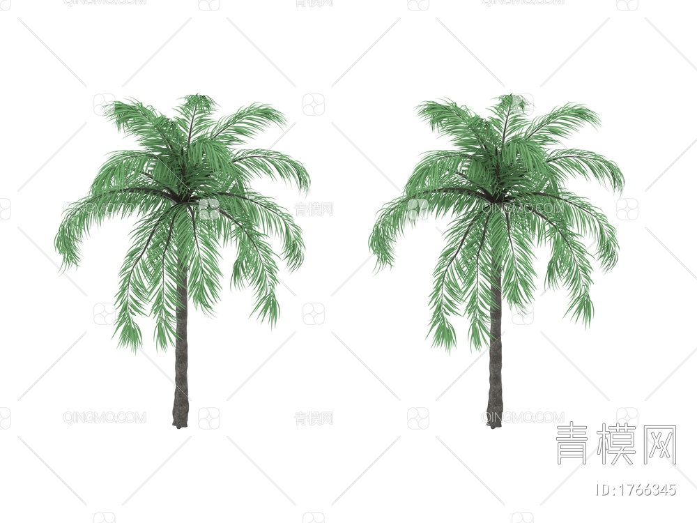 椰子树3D模型下载【ID:1766345】
