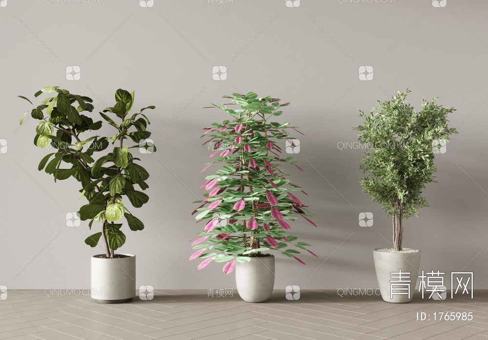 植物盆栽3D模型下载【ID:1765985】