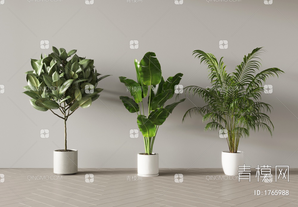 植物盆栽3D模型下载【ID:1765988】