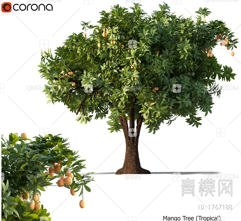 芒果树3D模型下载【ID:1767188】