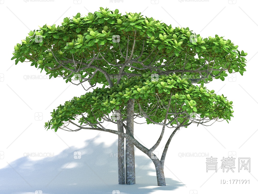 景观树3D模型下载【ID:1771991】
