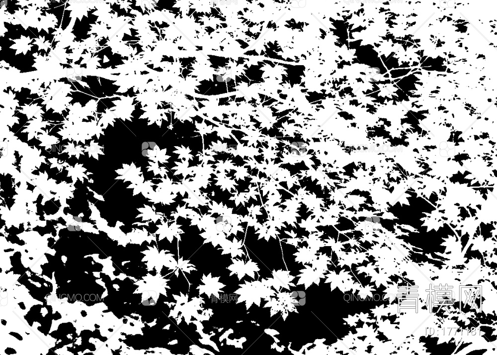 树影黑白贴图贴图下载【ID:1771181】