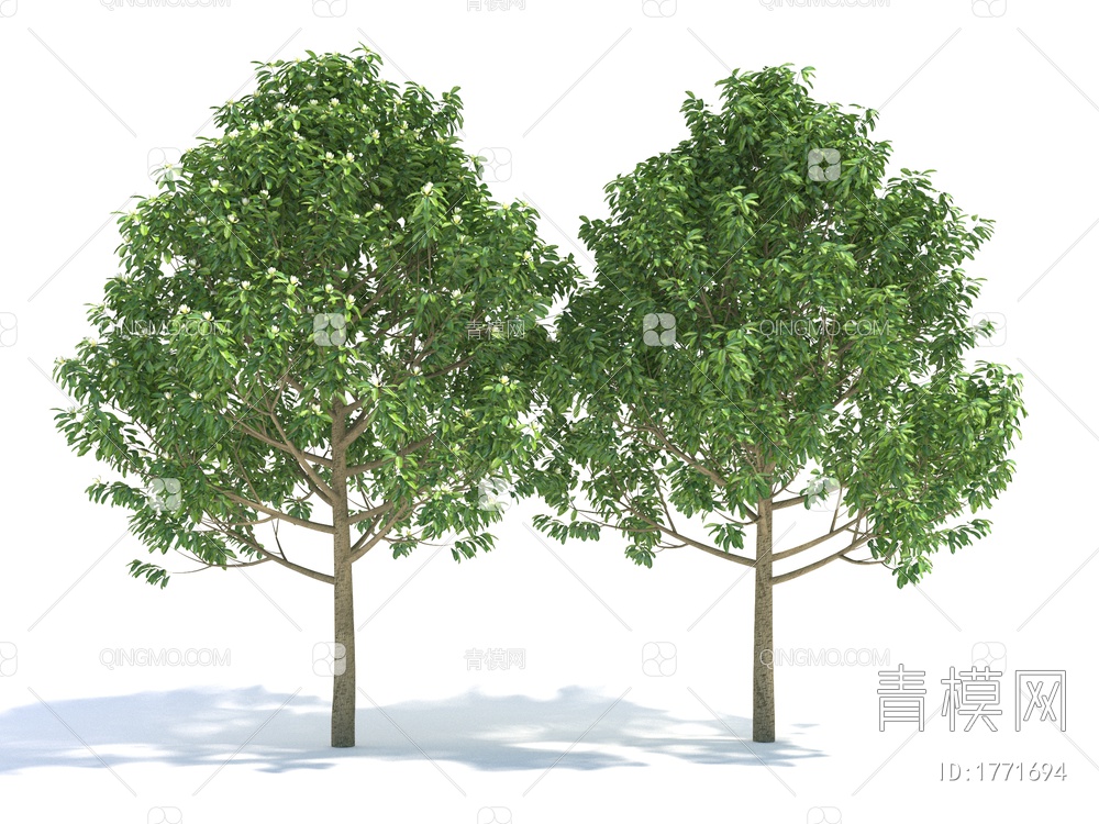 景观树3D模型下载【ID:1771694】