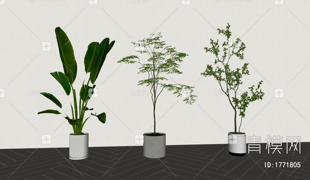 植物，绿植，盆栽SU模型下载【ID:1771805】