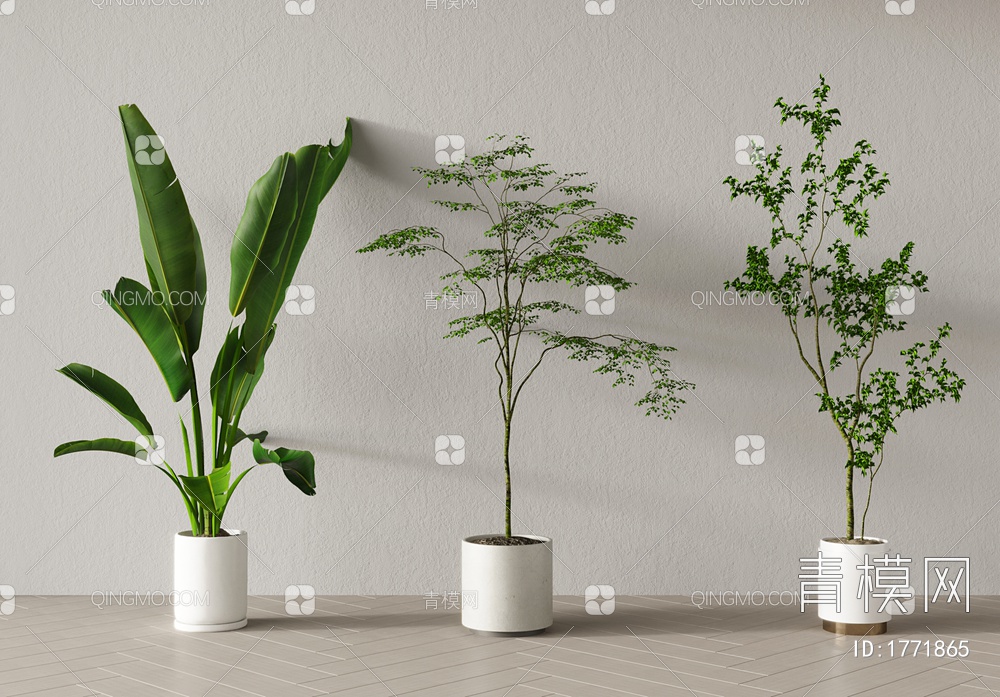 植物，绿植，盆栽3D模型下载【ID:1771865】