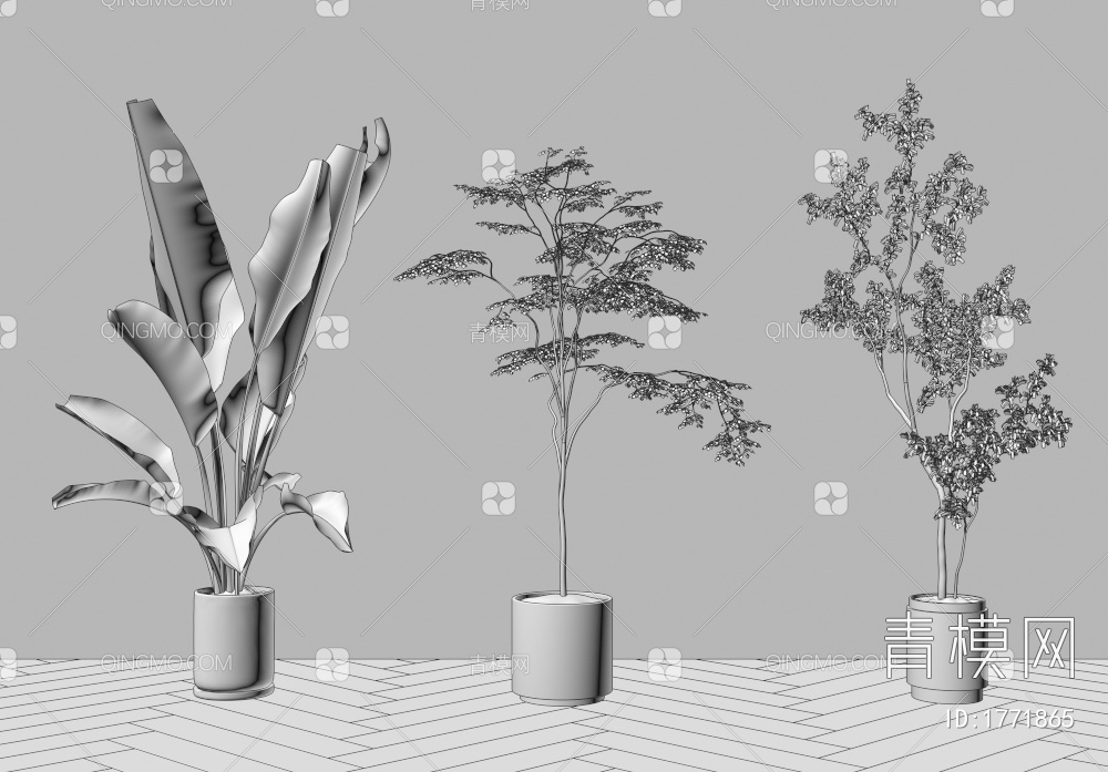 植物，绿植，盆栽3D模型下载【ID:1771865】
