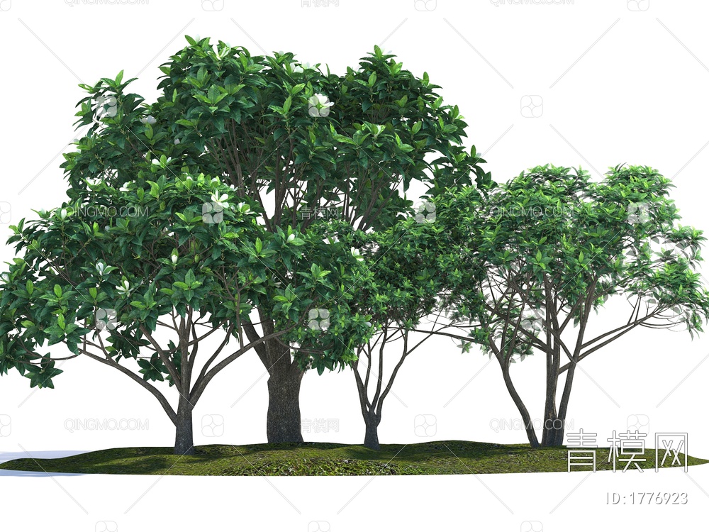 景观树3D模型下载【ID:1776923】