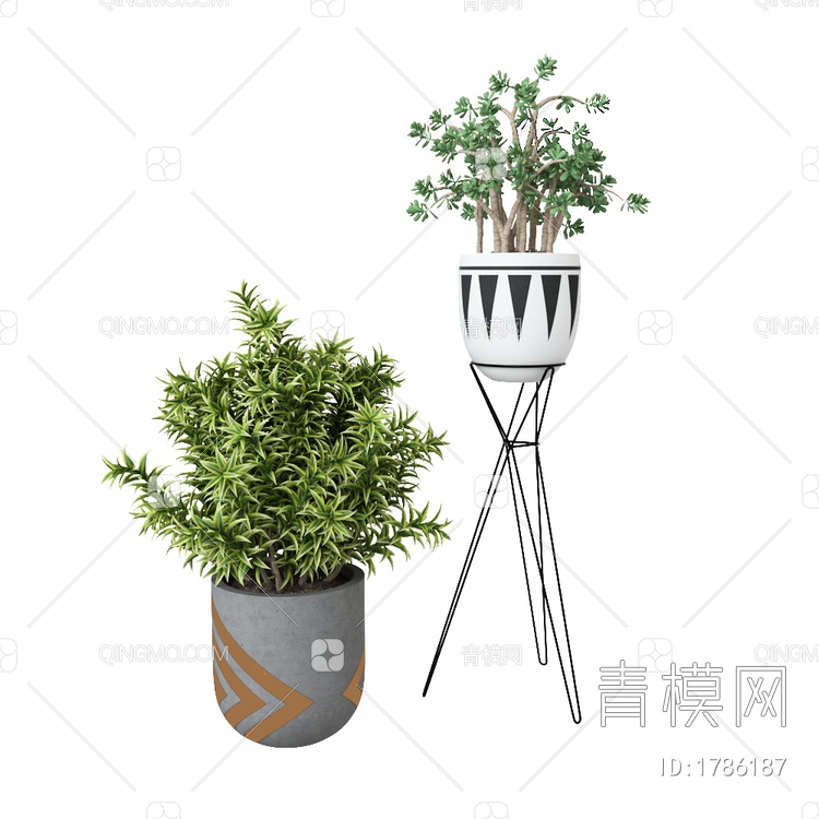 植物盆栽3D模型下载【ID:1786187】