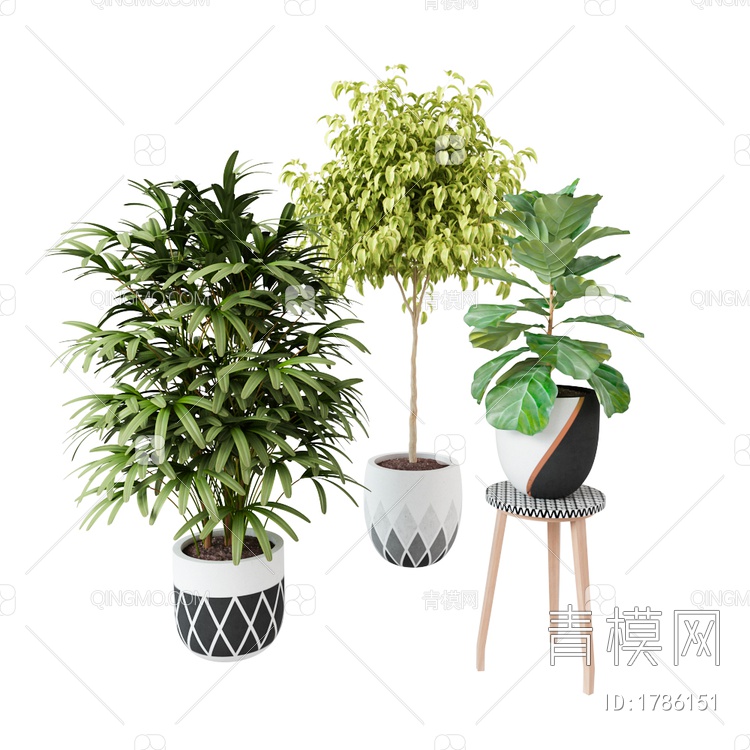 植物盆栽组合绿植物3D模型下载【ID:1786151】