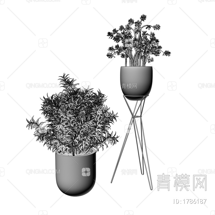 植物盆栽3D模型下载【ID:1786187】