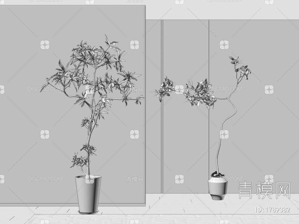 植物 盆栽3D模型下载【ID:1789382】