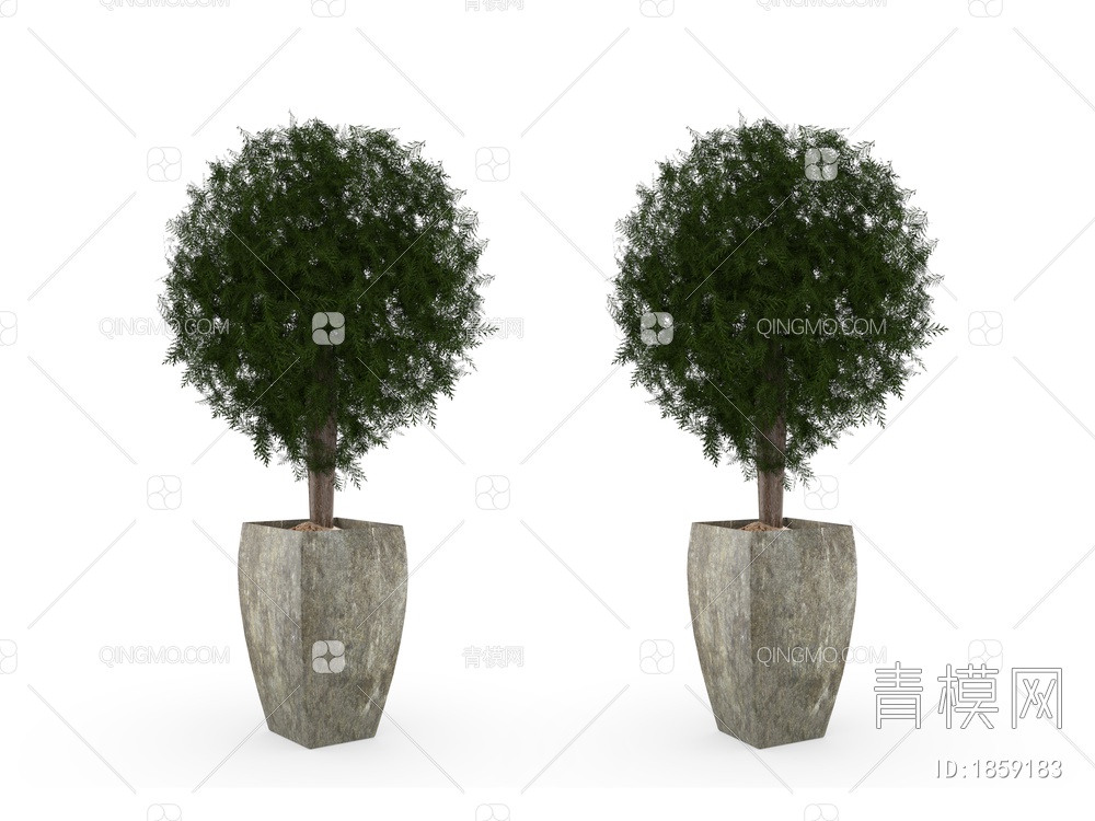 树 盆栽3D模型下载【ID:1859183】