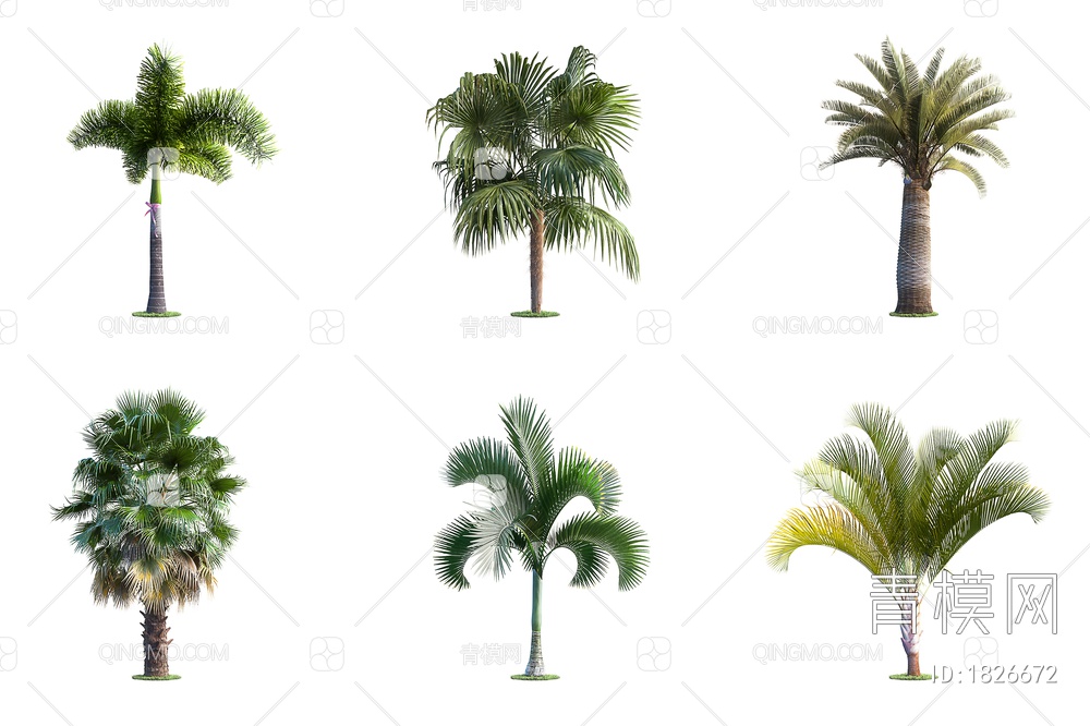 景观树木，户外树木，庭院树木，棕榈树3D模型下载【ID:1826672】