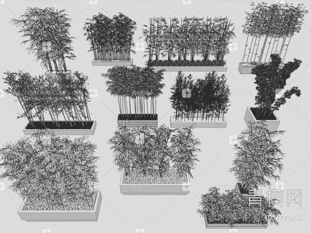 竹子 盆栽竹子 园艺竹子3D模型下载【ID:1790855】