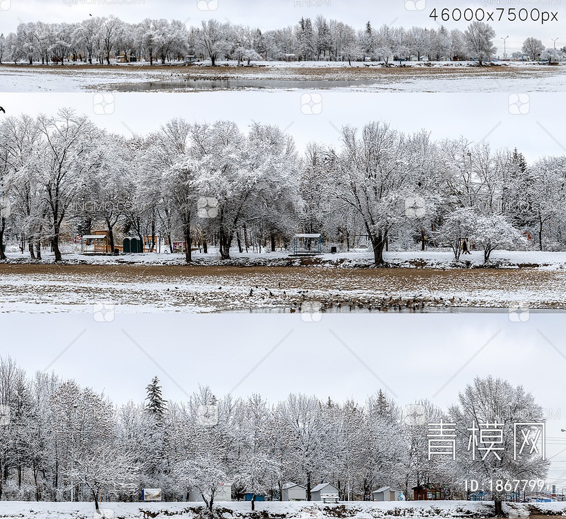公园全景，湖面和白雪覆盖的树木。46k贴图下载【ID:1867799】