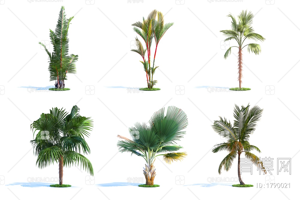 现代景观树木，户外树木，庭院树木，棕榈植物3D模型下载【ID:1790021】