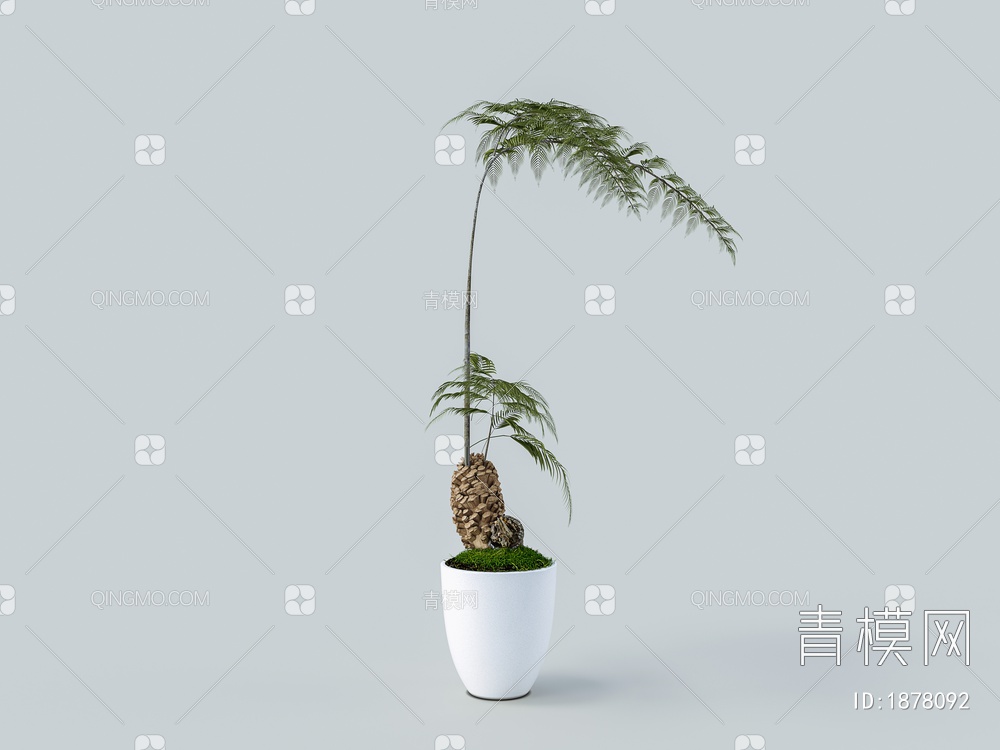 盆栽花盆绿色植物3D模型下载【ID:1878092】