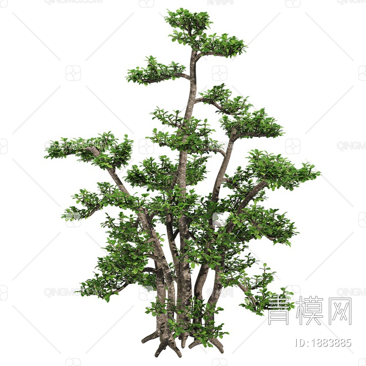 树 绿植3D模型下载【ID:1883885】