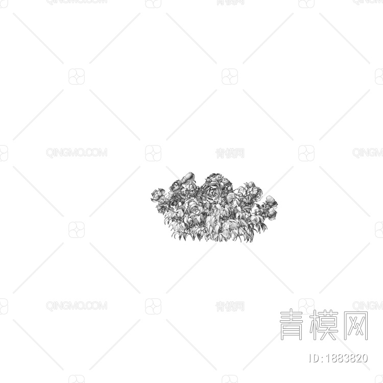 Paeonia 芍药花朵3D模型下载【ID:1883820】