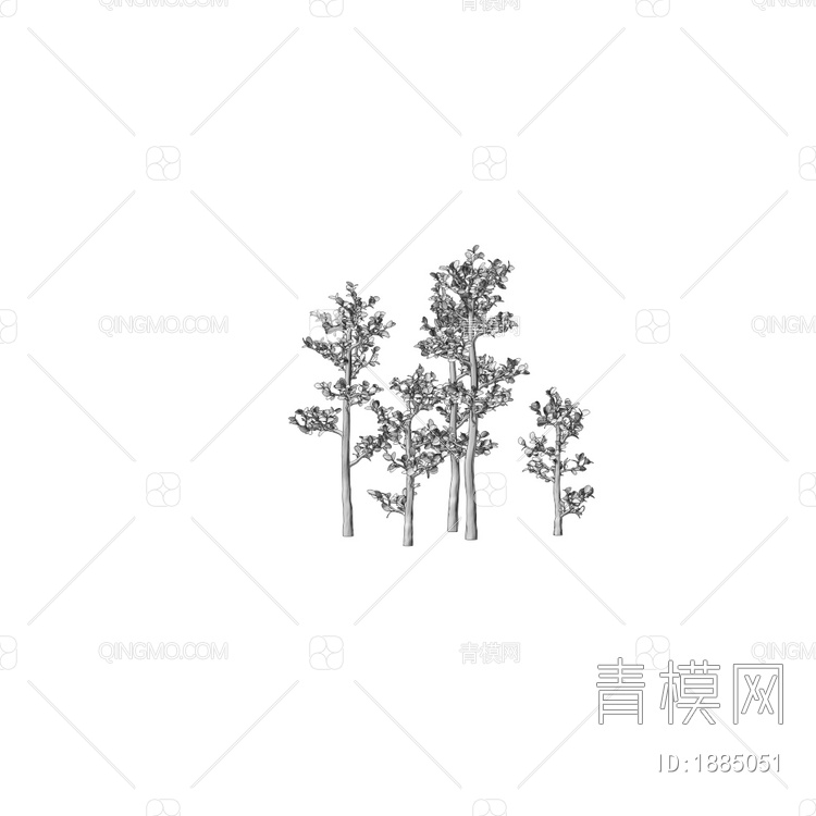 Serissa 绿植 树木3D模型下载【ID:1885051】