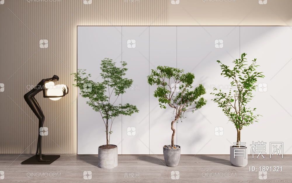 植物盆栽，植物，盆栽，树3D模型下载【ID:1891321】