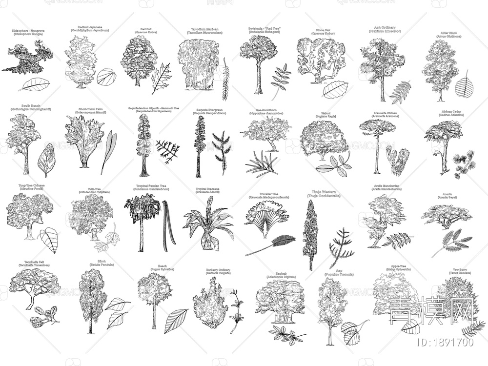 260款植物树木CAD立面图库【ID:1891700】