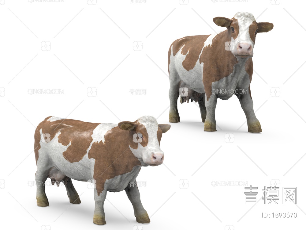 哺乳动物 母牛SU模型下载【ID:1893670】