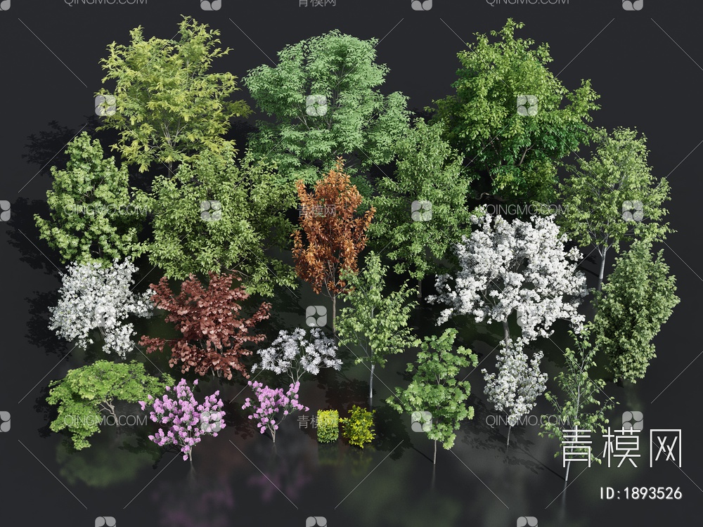景观树3D模型下载【ID:1893526】
