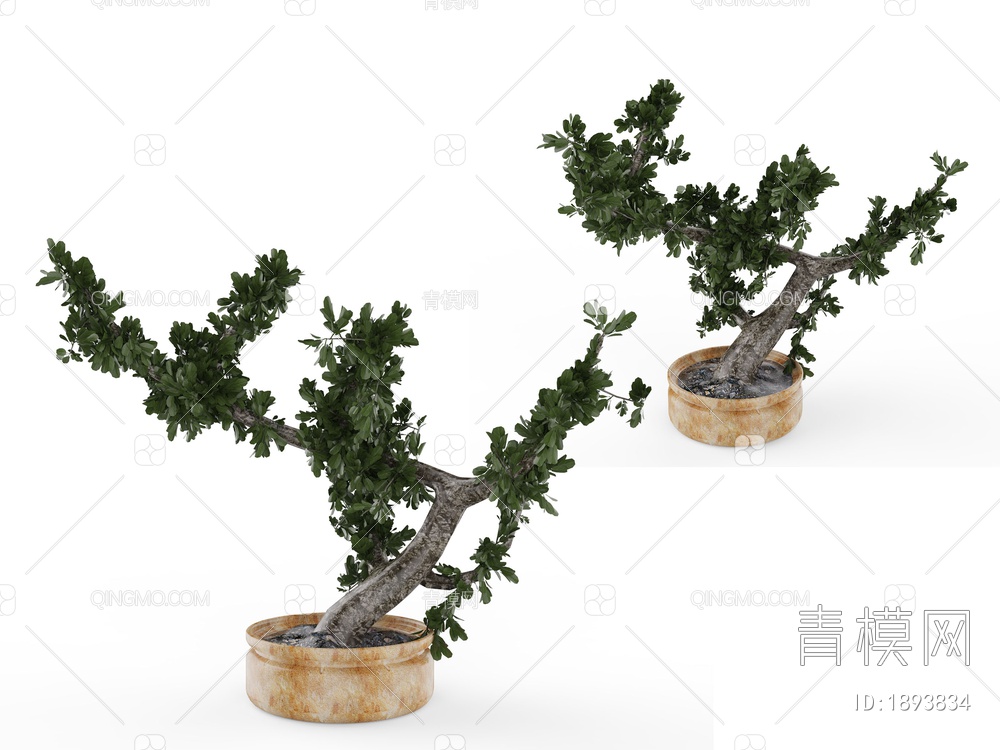 绿色植物 植物盆栽树3D模型下载【ID:1893834】