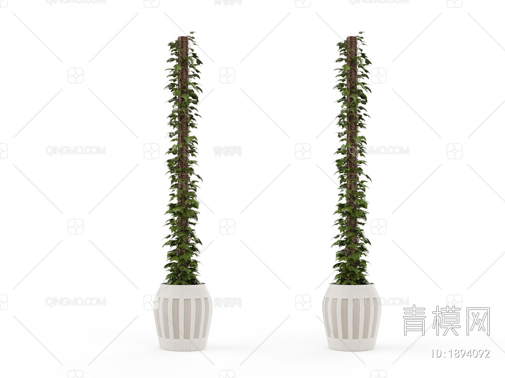 绿色植物 植物盆栽树3D模型下载【ID:1894092】