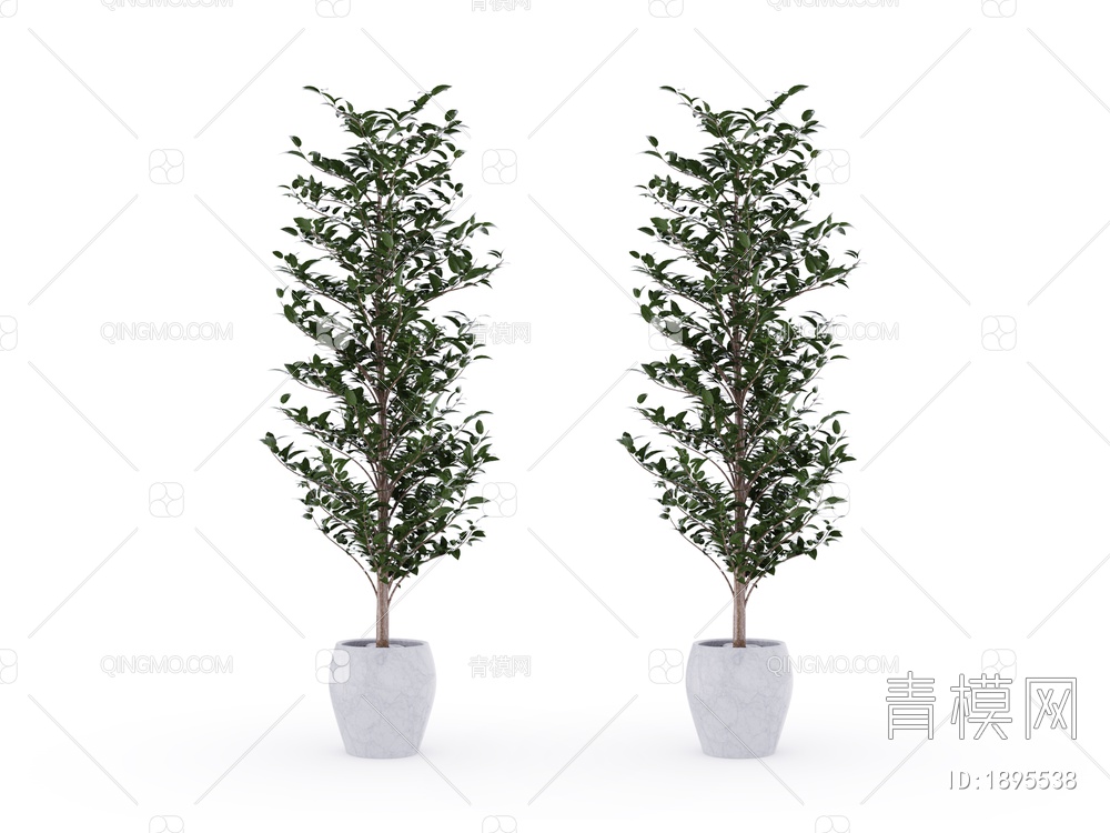 绿色植物 植物盆栽树SU模型下载【ID:1895538】