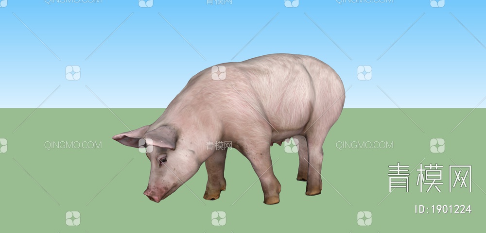 家禽动物 猪SU模型下载【ID:1901224】