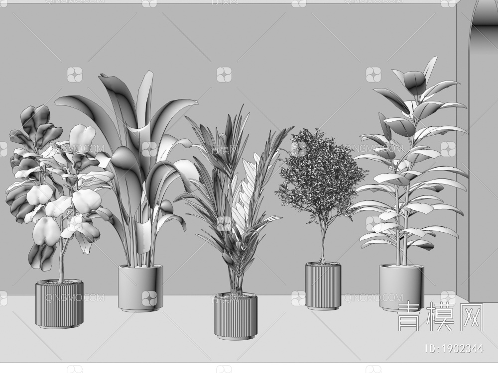 盆栽 绿植   植物  花卉3D模型下载【ID:1902344】