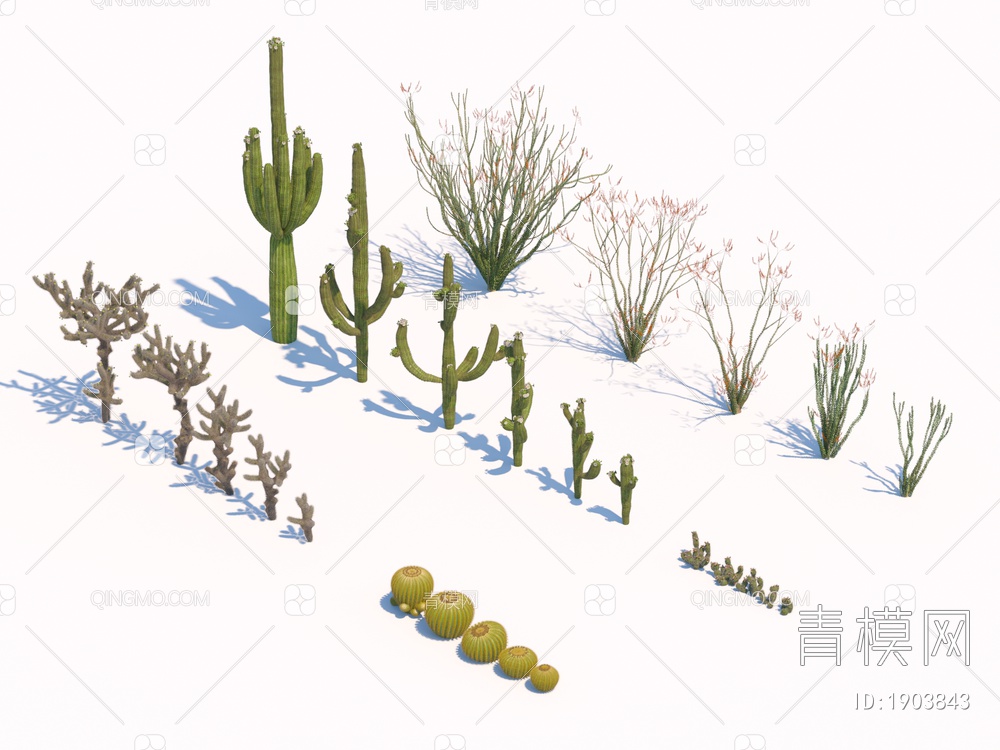 沙漠植物3D模型下载【ID:1903843】