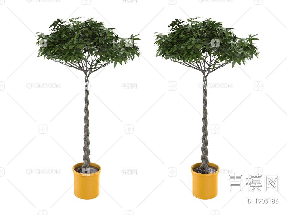 绿色植物 植物树SU模型下载【ID:1905186】