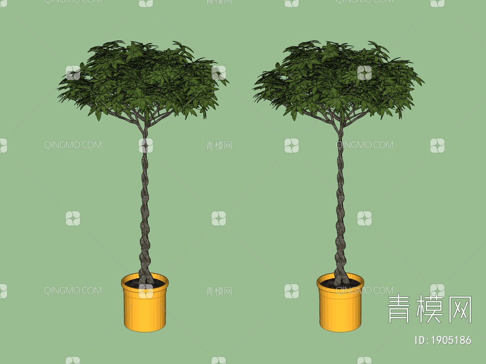 绿色植物 植物树SU模型下载【ID:1905186】