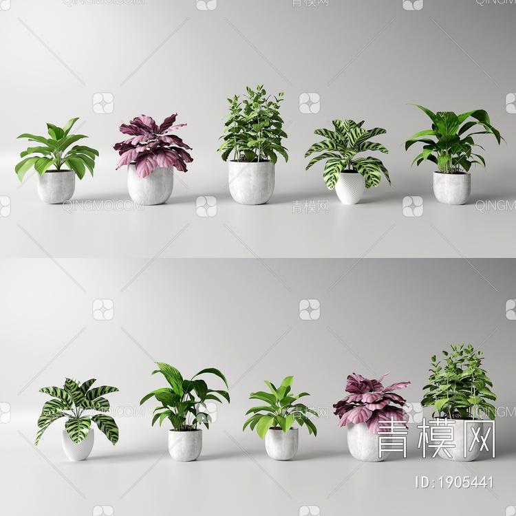花盆 盆栽 绿植组合3D模型下载【ID:1905441】