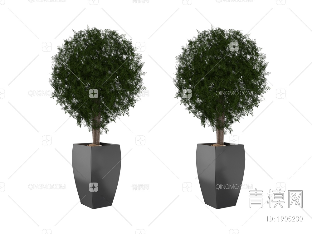 绿色植物 植物树 盆栽3D模型下载【ID:1905230】