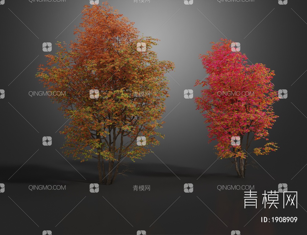 银枫景观树 花树3D模型下载【ID:1908909】