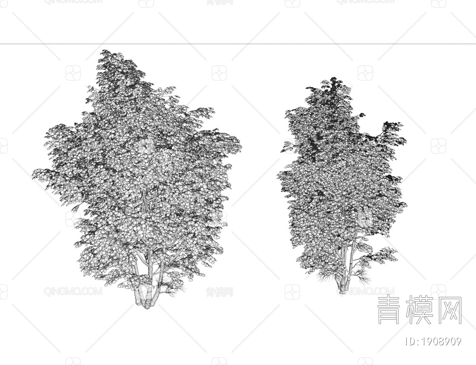 银枫景观树 花树3D模型下载【ID:1908909】