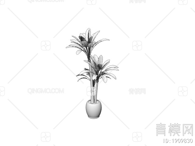 绿色植物 植物盆栽树3D模型下载【ID:1909830】