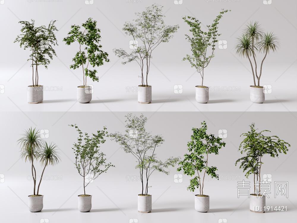 花盆 盆栽绿植 室内植物盆栽组合 盆栽 植物 绿植 室内植被摆件3D模型下载【ID:1914421】