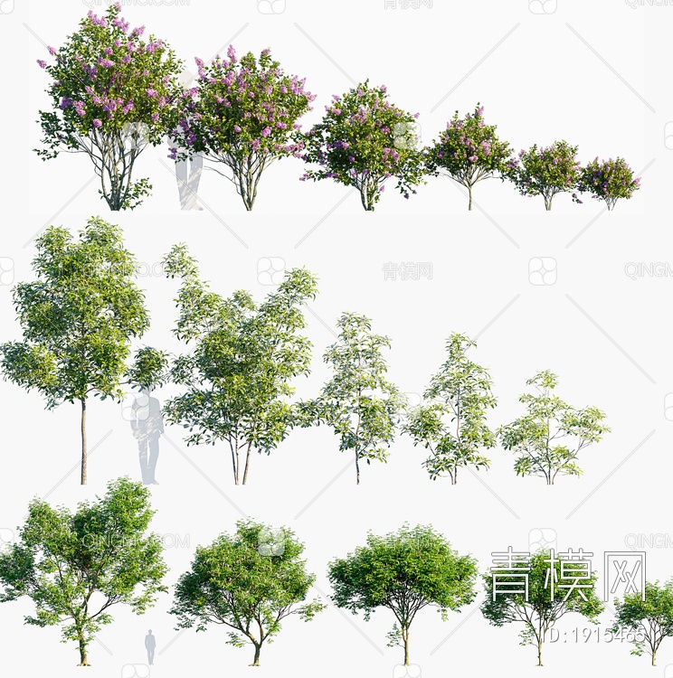 景观树3D模型下载【ID:1915465】