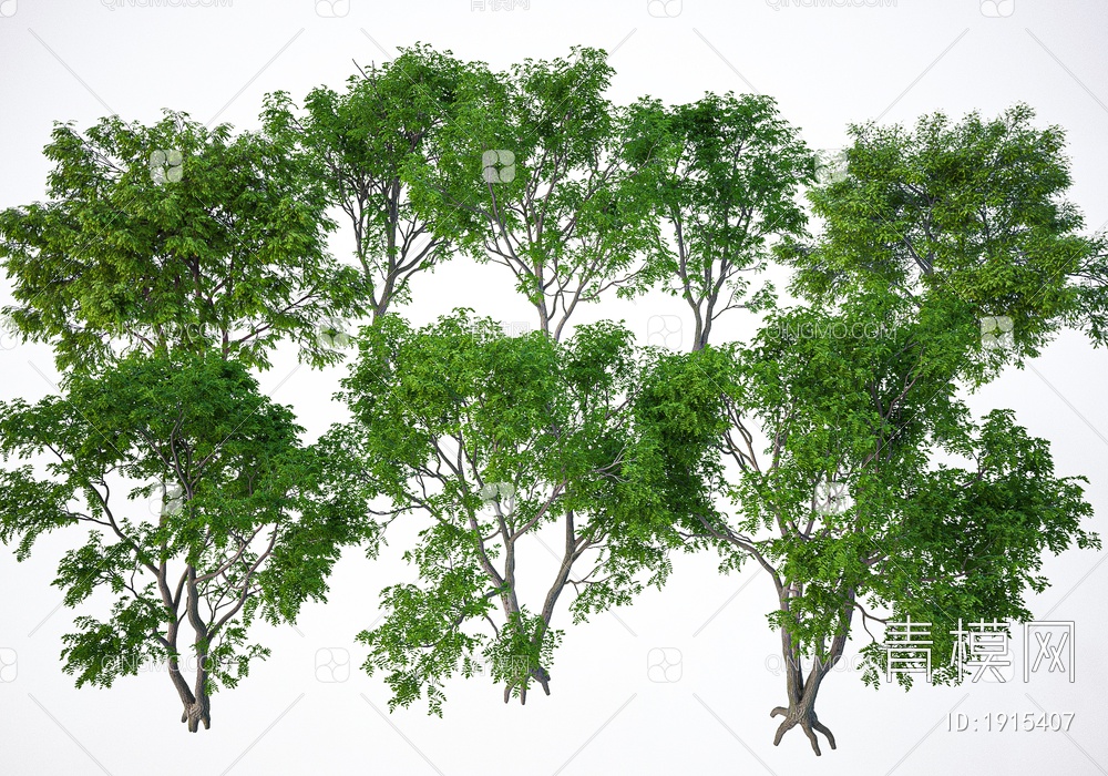 景观树3D模型下载【ID:1915407】