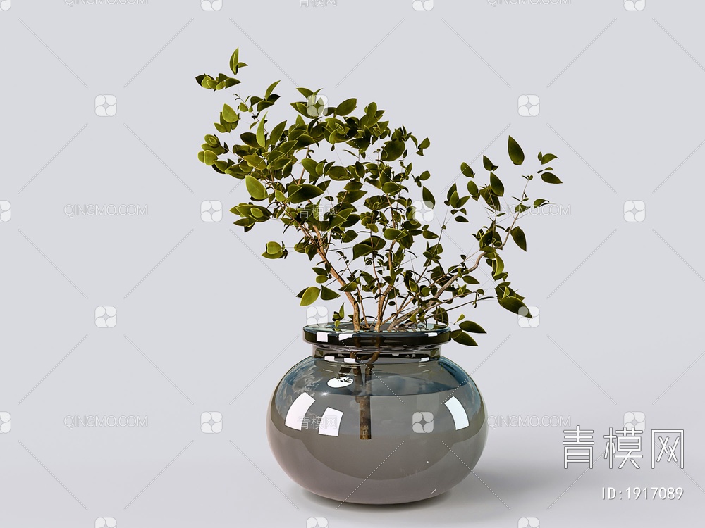 玻璃器皿绿色植物花卉3D模型下载【ID:1917089】