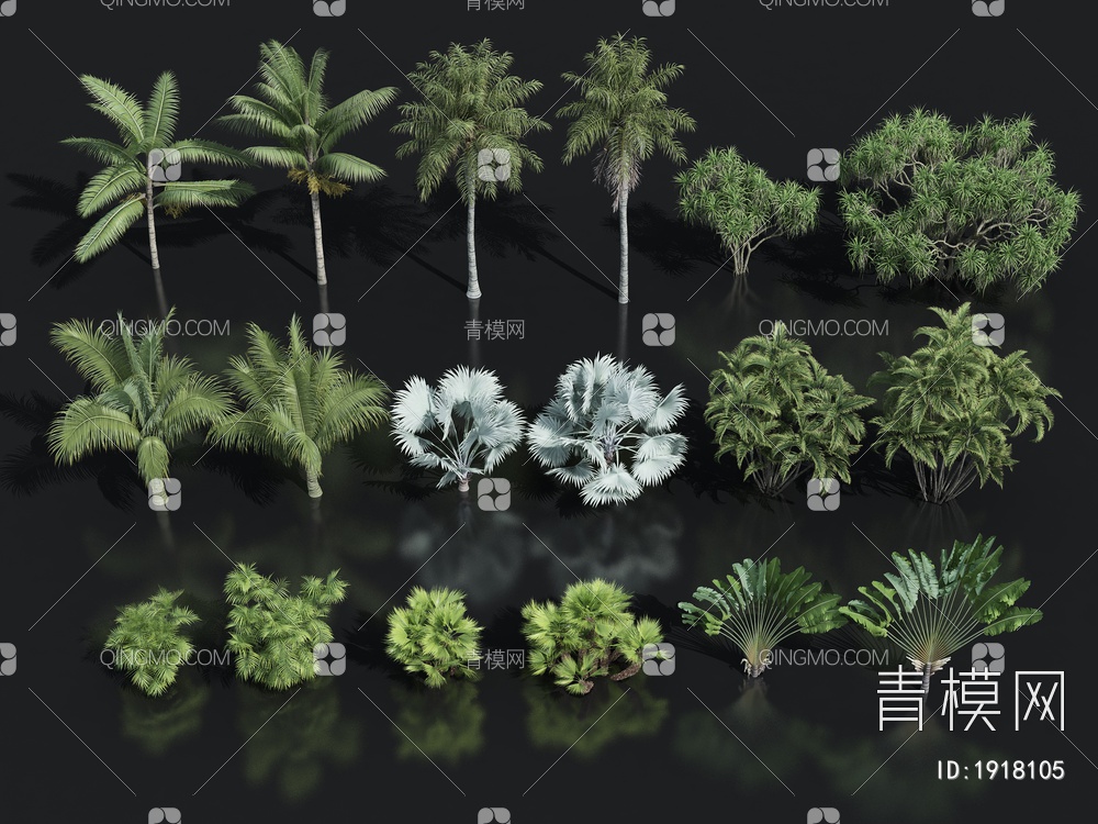 棕榈植物3D模型下载【ID:1918105】