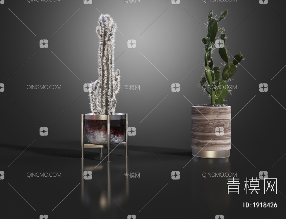 仙人掌植物盆栽3D模型下载【ID:1918426】