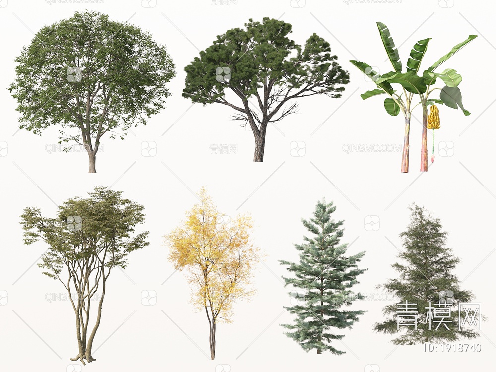 树 乔木 树木 景观树 庭院树 行道树 绿植3D模型下载【ID:1918740】